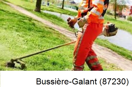 Entretien d'un jardin Bussière-Galant-87230