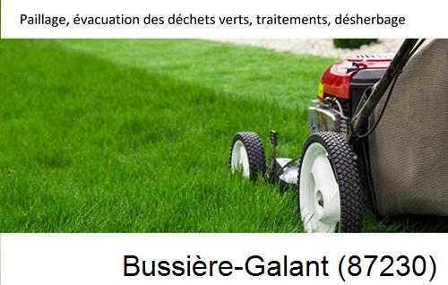 Entreprise de paysage pour entretien de jardin Bussière-Galant-87230