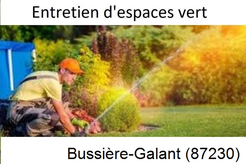 Aménagement extérieur à Bussière-Galant-87230