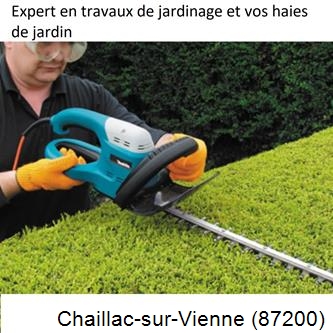 Taille et entretien jardin Chaillac-sur-Vienne-87200
