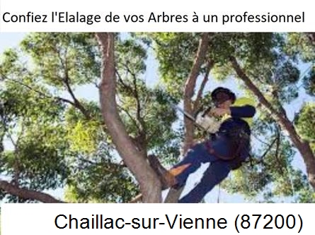 Société d'élagage à Chaillac-sur-Vienne-87200