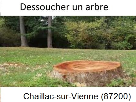 Travaux d'entretien extérieur Chaillac-sur-Vienne-87200