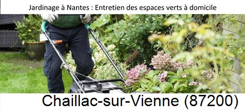 Travaux d'entretien exterieur Chaillac-sur-Vienne-87200