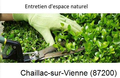 Rénovation jardin particulier Chaillac-sur-Vienne-87200