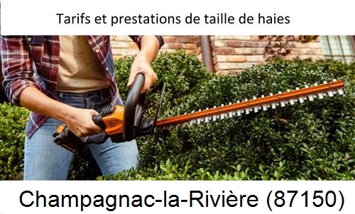 taille de haies Champagnac-la-Rivière-87150