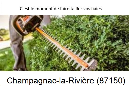 Entreprise de paysage Champagnac-la-Rivière-87150