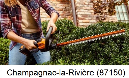 entretien jardin par paysagiste Champagnac-la-Rivière-87150