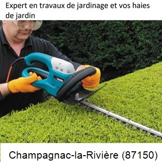Taille et entretien jardin Champagnac-la-Rivière-87150
