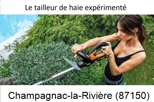 entretien jardin à Champagnac-la-Rivière-87150