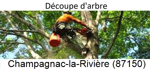 Entreprise du paysage Champagnac-la-Rivière-87150
