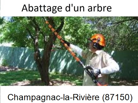 Etêtage et abattage d'un arbre Champagnac-la-Rivière-87150