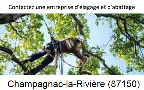 Travaux d'élagage à Champagnac-la-Rivière-87150