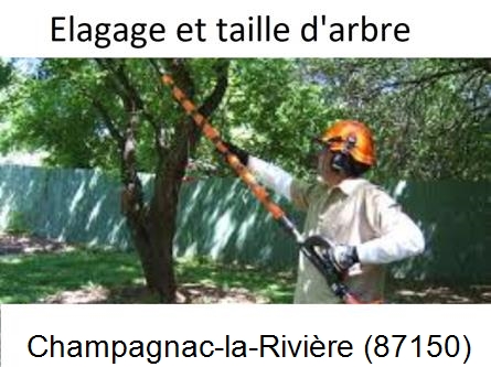 Elagage chez particulier Champagnac-la-Rivière-87150