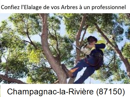 Société d'élagage à Champagnac-la-Rivière-87150