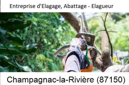 Travaux d'abattage d'arbres à Champagnac-la-Rivière-87150