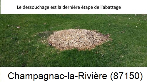 déssouchage d'arbres Champagnac-la-Rivière-87150