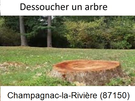 Travaux d'entretien extérieur Champagnac-la-Rivière-87150