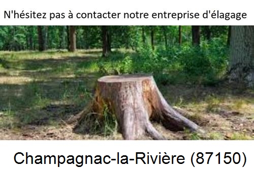 Elagage d'arbres à Champagnac-la-Rivière-87150
