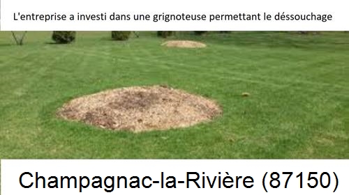 Artisan pour déssouchage d'arbres Champagnac-la-Rivière-87150