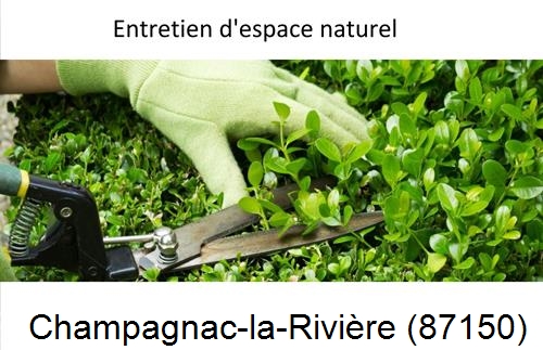 Rénovation jardin particulier Champagnac-la-Rivière-87150