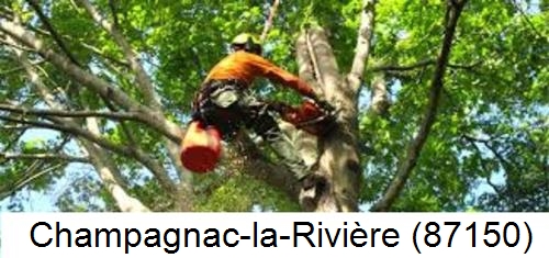 Déssouchage, étêtage d'arbres Champagnac-la-Rivière-87150