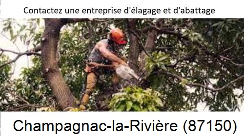 Entreprise d'élagage à Champagnac-la-Rivière-87150