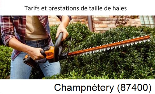 taille de haies Champnétery-87400