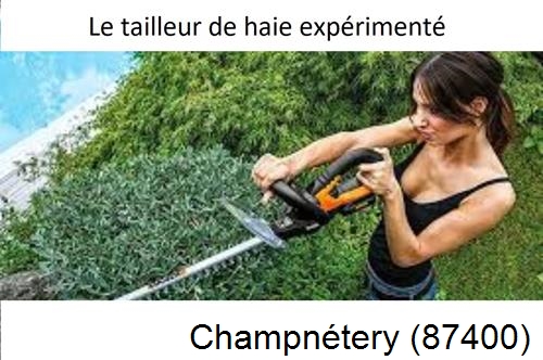 entretien jardin à Champnétery-87400