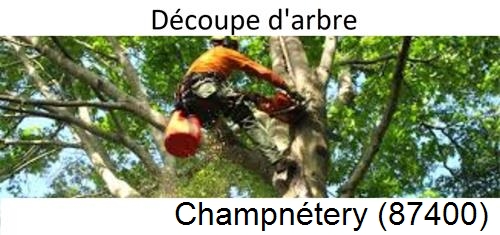 Entreprise du paysage Champnétery-87400