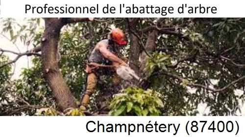 Elagage d'arbres Champnétery-87400