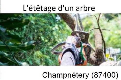 Artisan Abatteur d'arbres Champnétery-87400