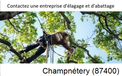 Travaux d'élagage à Champnétery-87400