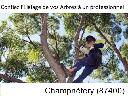 Société d'élagage à Champnétery-87400