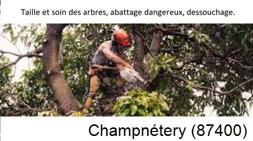 Abattage d'arbres Champnétery-87400
