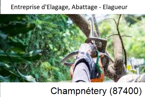 Travaux d'abattage d'arbres à Champnétery-87400