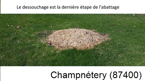 déssouchage d'arbres Champnétery-87400