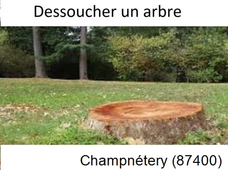 Travaux d'entretien extérieur Champnétery-87400