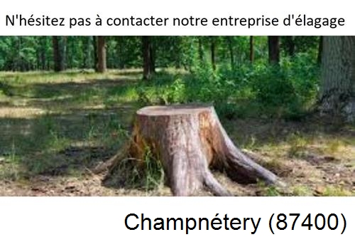 Elagage d'arbres à Champnétery-87400