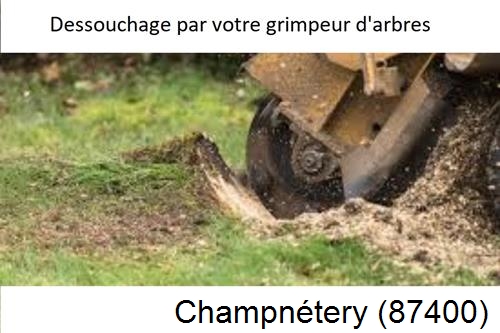abattage d'arbres à Champnétery-87400