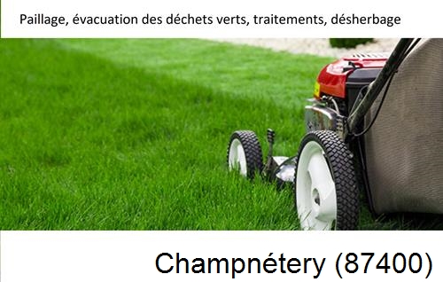 Entreprise de paysage pour entretien de jardin Champnétery-87400