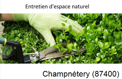 Rénovation jardin particulier Champnétery-87400