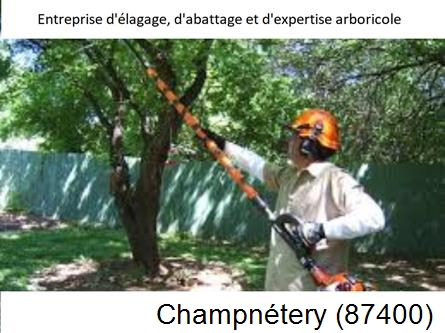Coupe tête d'arbres Champnétery-87400