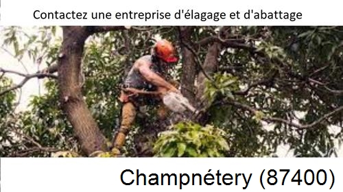 Entreprise d'élagage à Champnétery-87400
