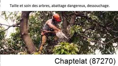 Abattage d'arbres Chaptelat-87270