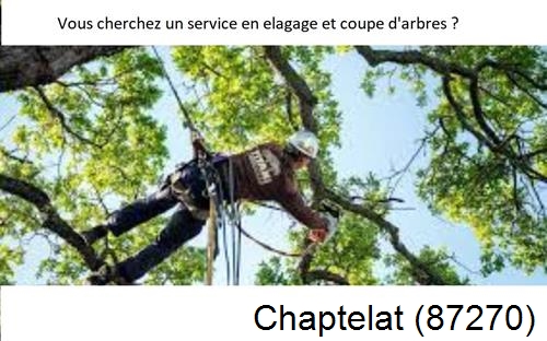 Etêtage d'arbres à Chaptelat-87270