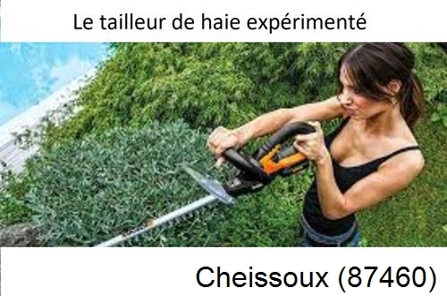 entretien jardin à Cheissoux-87460