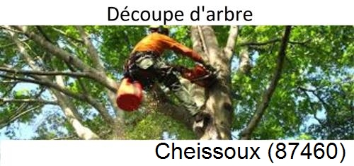 Entreprise du paysage Cheissoux-87460