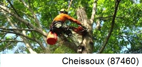 Entreprise du paysage Cheissoux-87460