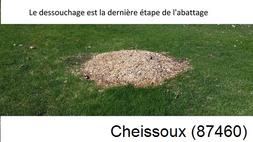 déssouchage d'arbres Cheissoux-87460