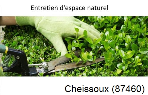 Rénovation jardin particulier Cheissoux-87460